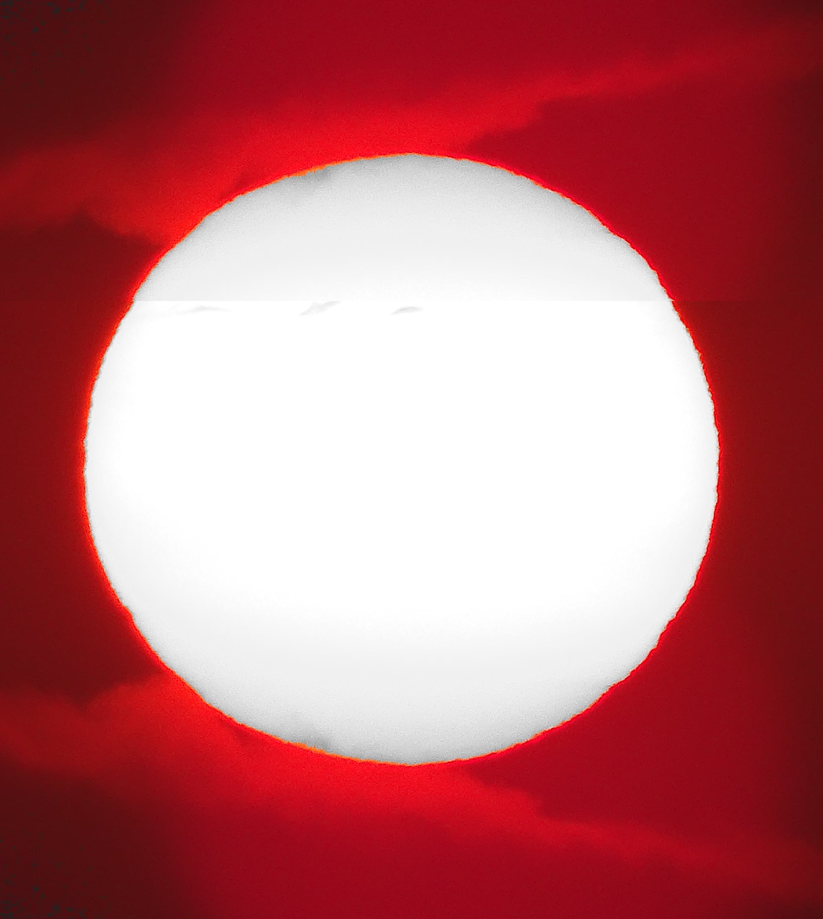 Zeila Sardá_04_vermelho.jpg