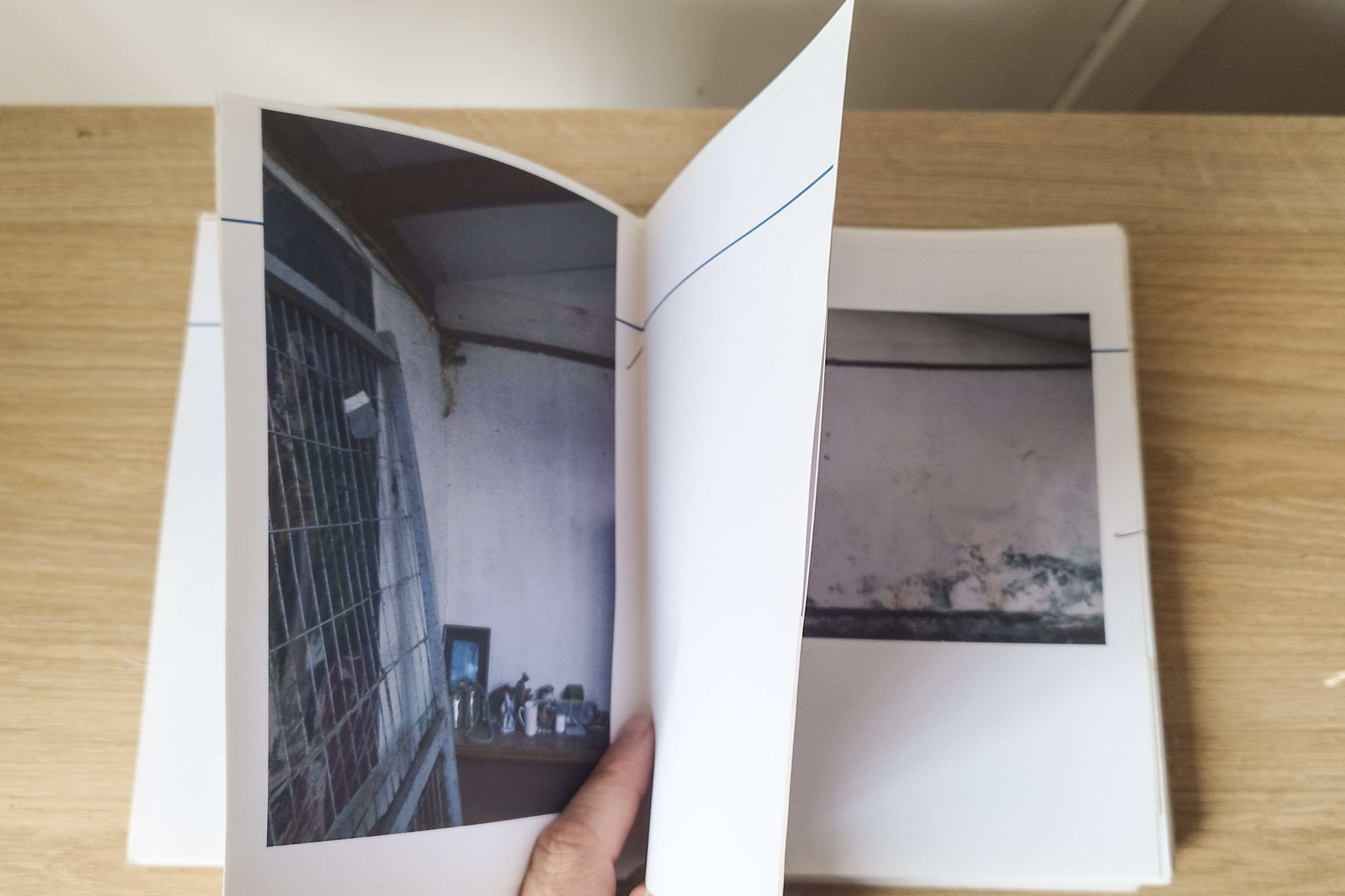 maqueta paisaje sugerido (3) - Tatiana Alfaro.jpg