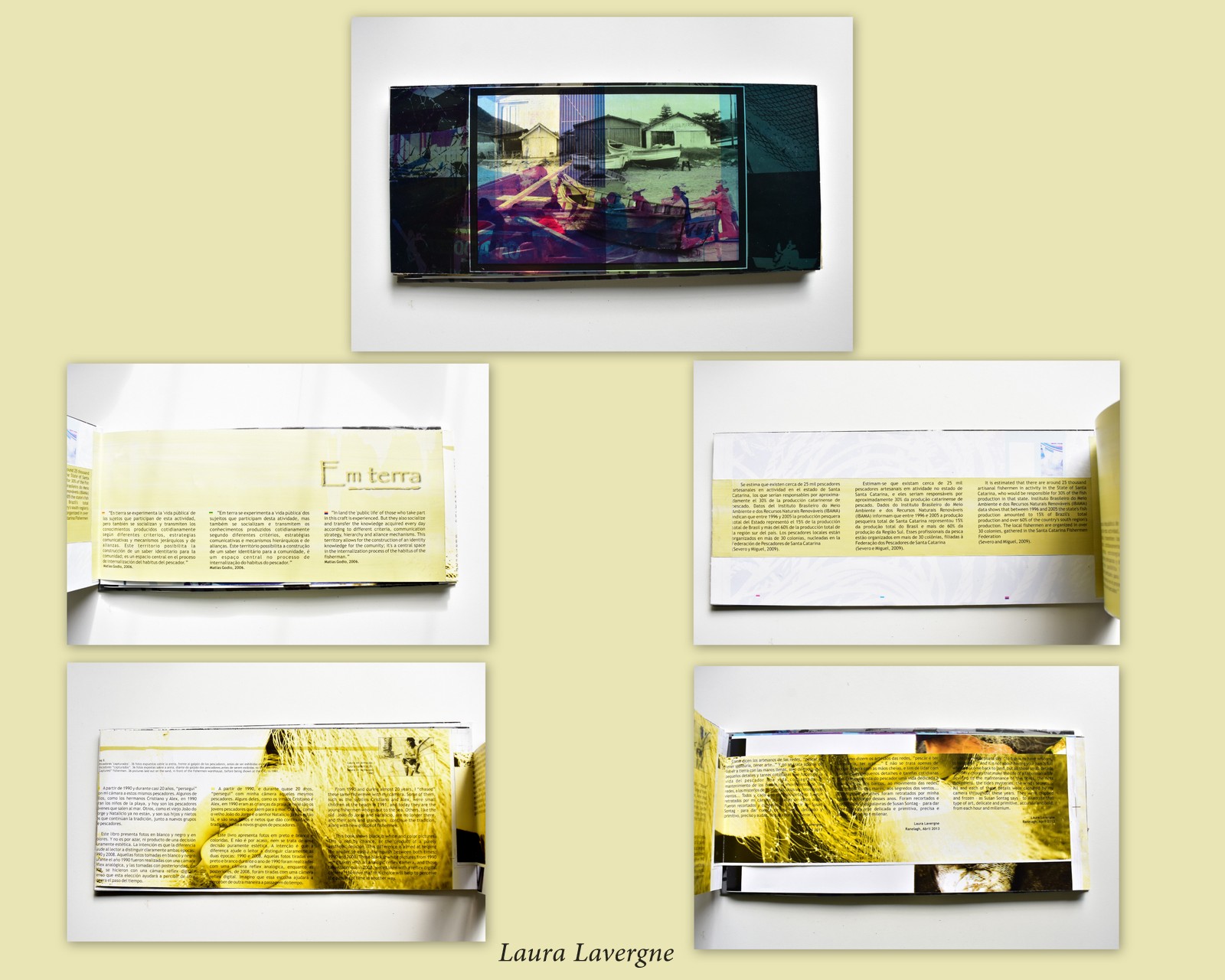 em terra apaisado jun 2020.jpg