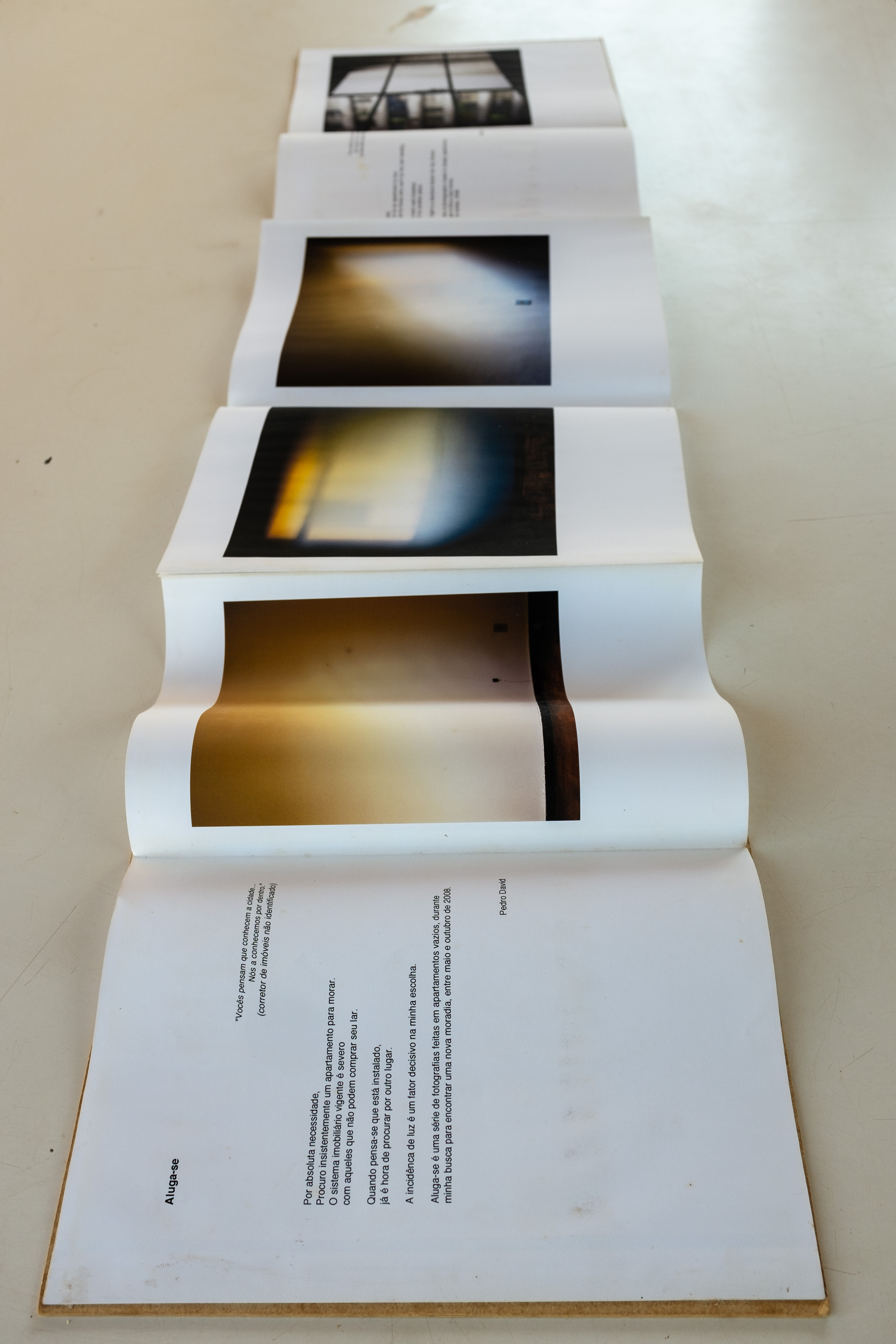 _PDD6253 - Pedro David.jpg