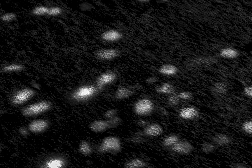 B-jpg - Claudia Bonder.jpg